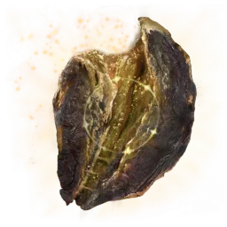 Holyproof Dried Liver - Elden Ring